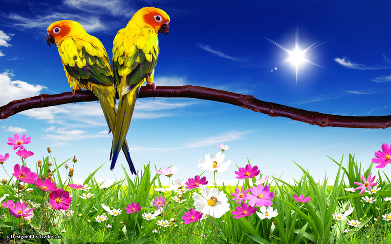Two Parrots on a Branch — Blue, Serene