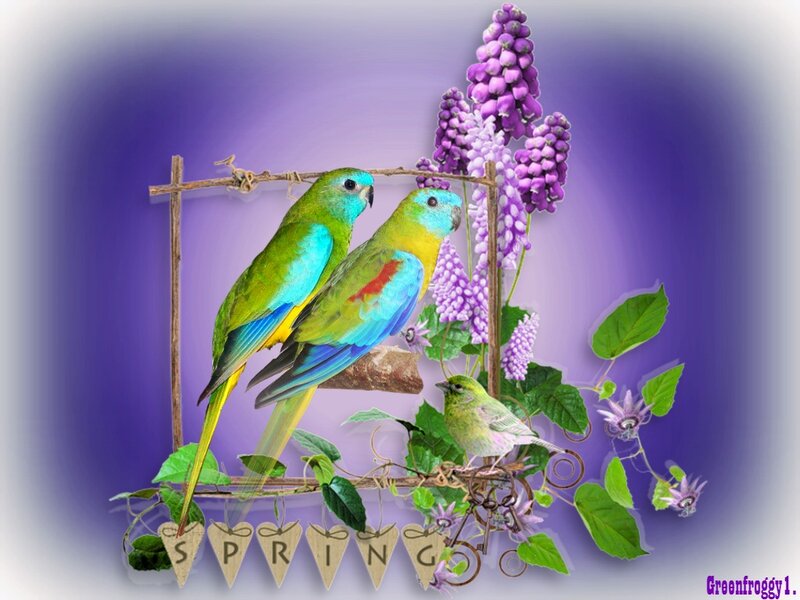 Two Parrots on a Branch — Purple