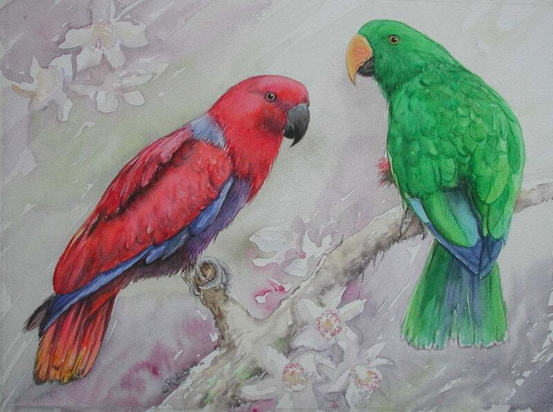 Two Parrots on a Branch — Red