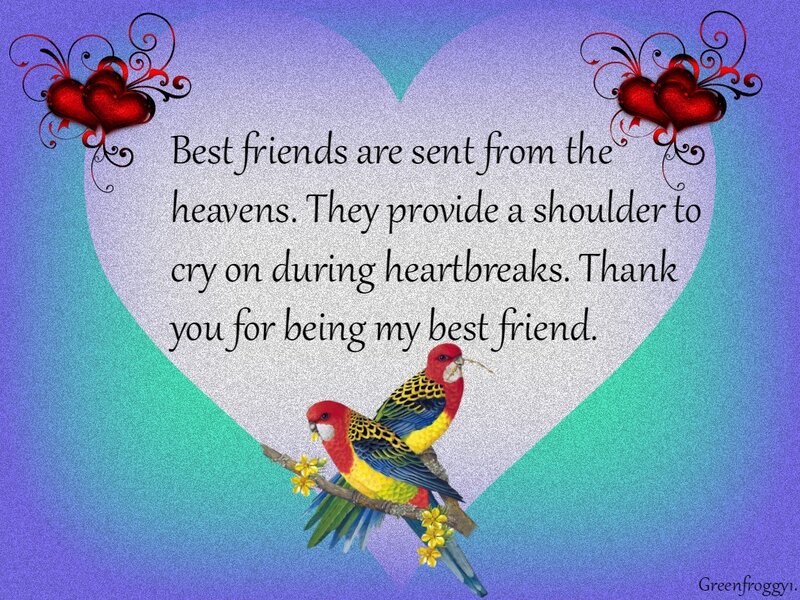 Two Parrots on Branch — Blue, Sentimental