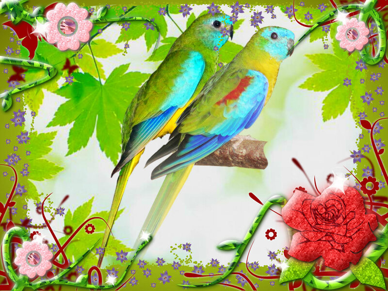 Two Parrots on Branch — Green, Colorful