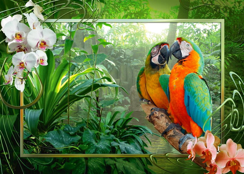 Two Parrots on Branch — Green, Lush
