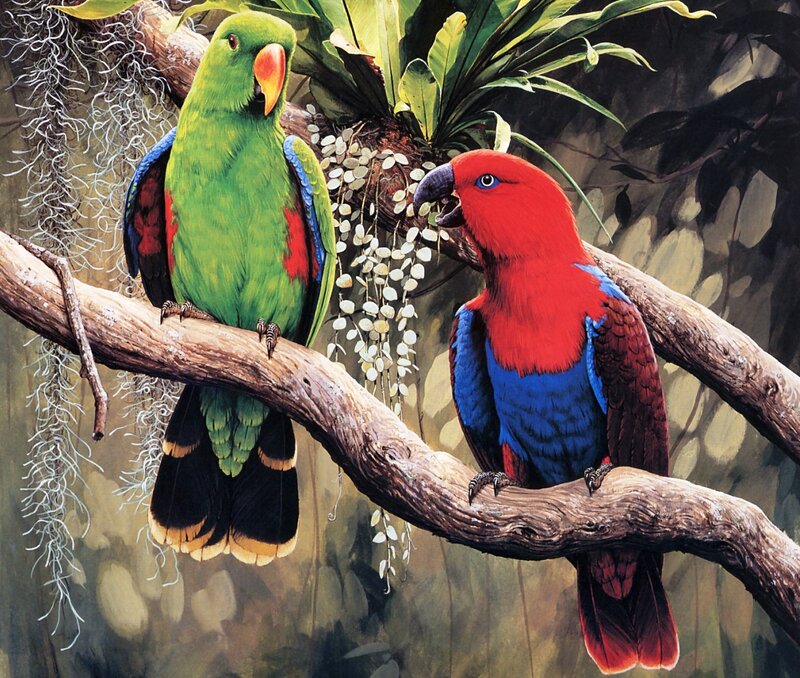 Two Parrots on Branch — Green, Natural