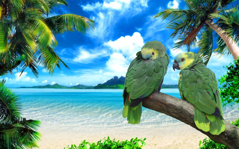 Two Parrots on Branch — Green, Serene, Afternoon