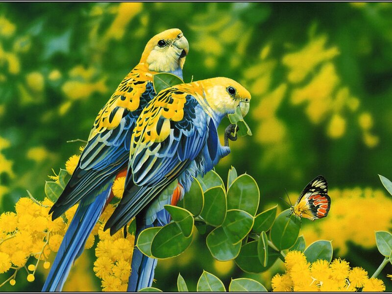 Two Parrots on Branch — Green, Serene, Spring