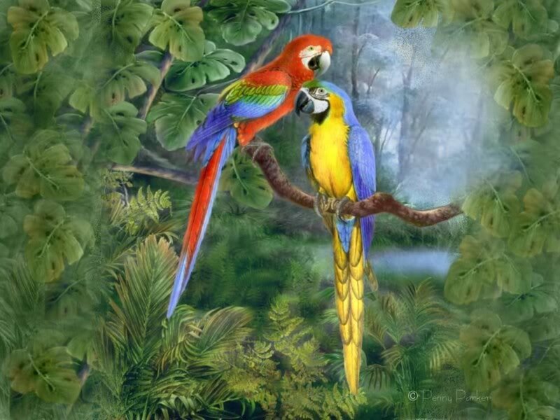 Two Parrots on Branch — Green, Serene
