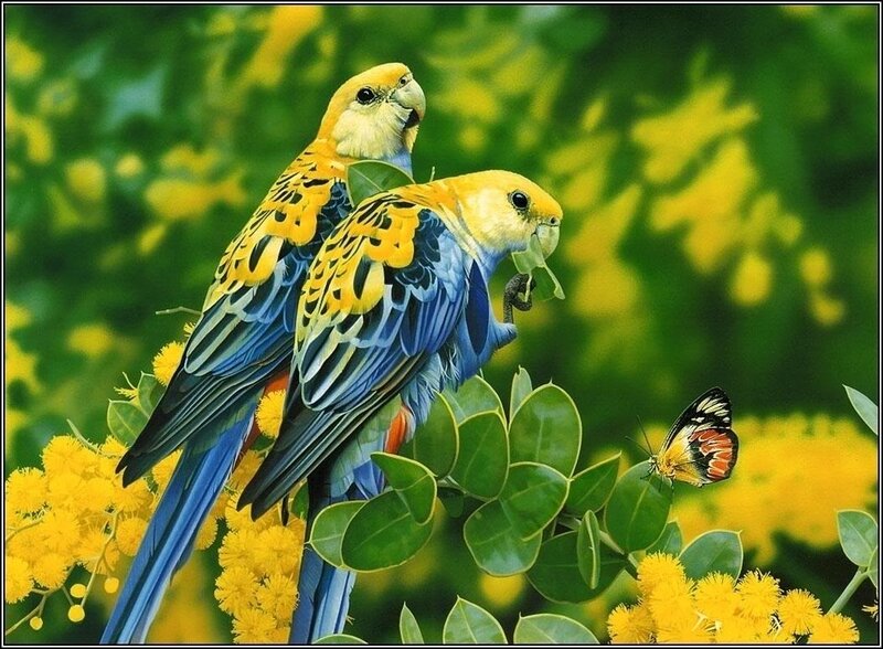 Two Parrots on Branch — Green