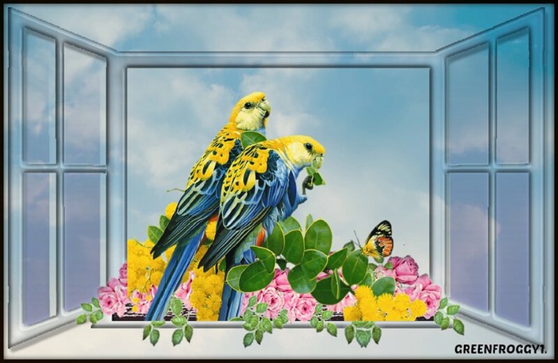 Two Parrots on Flowers