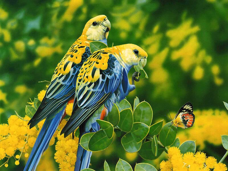 Two Parrots on Flowers — Yellow