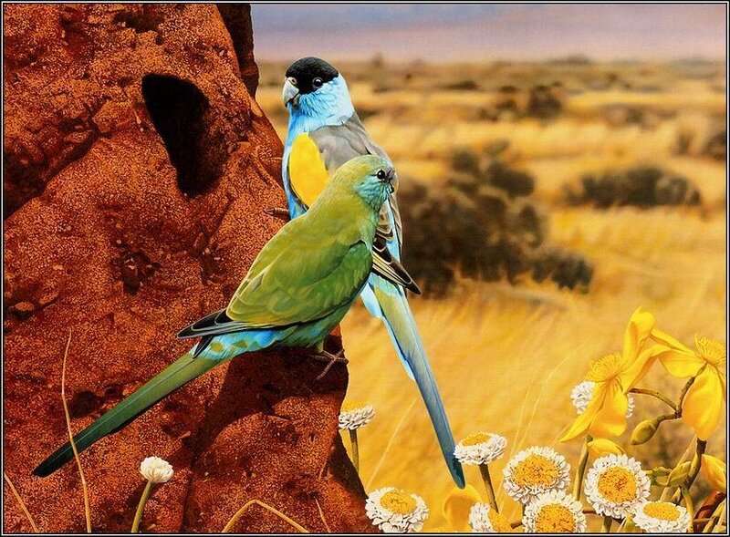 Two Parrots on Rock