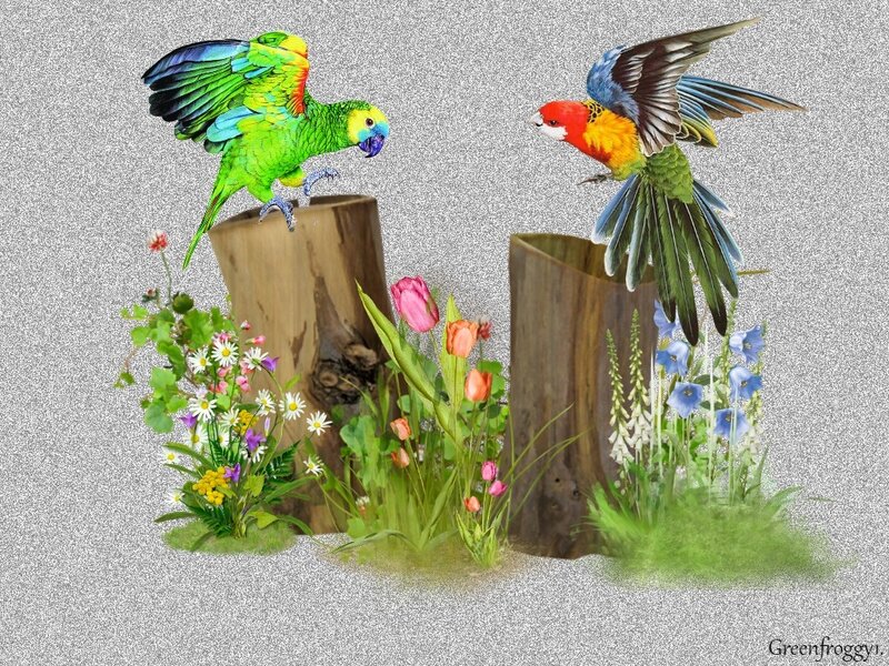 Two Parrots on Stumps