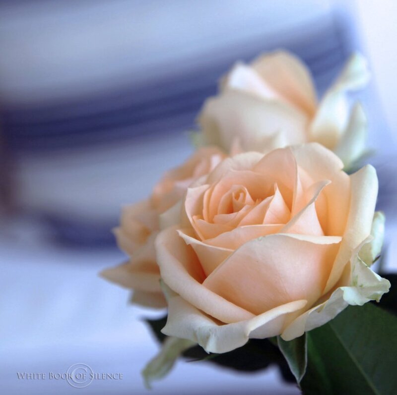 Two Peach Roses — Serene, Photograph, Green Leaves