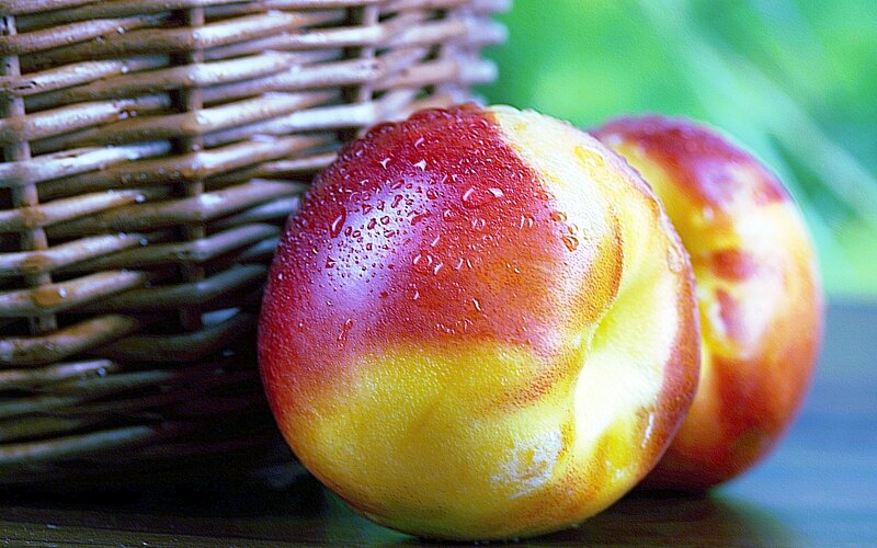 Two Peaches in Basket