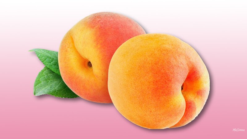 Two Peaches with Leaves