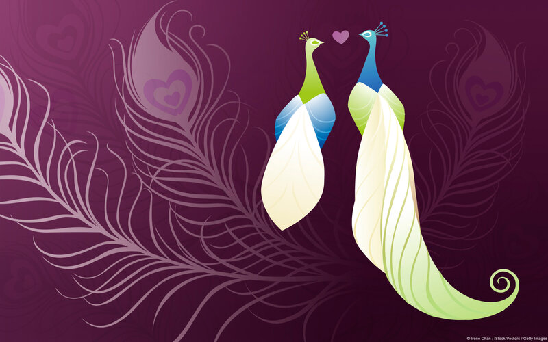Two Peacocks Facing Each Other — Purple