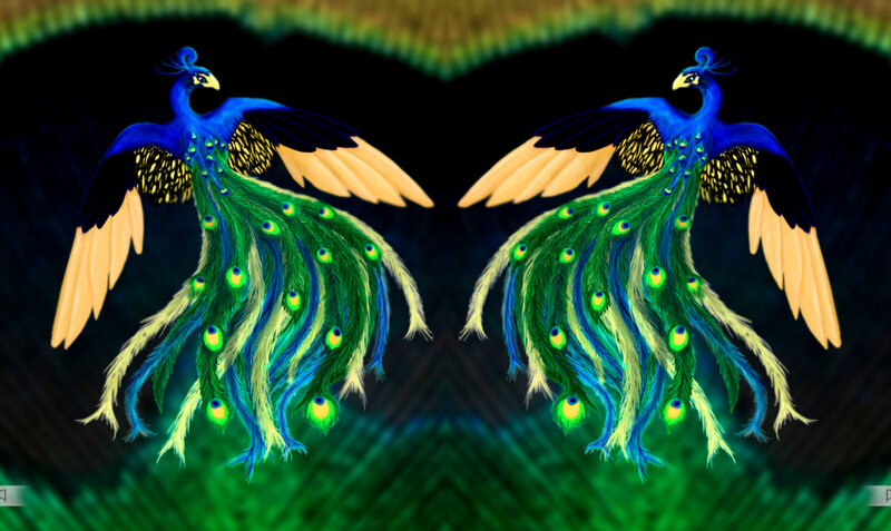 Two Peacocks in Flight