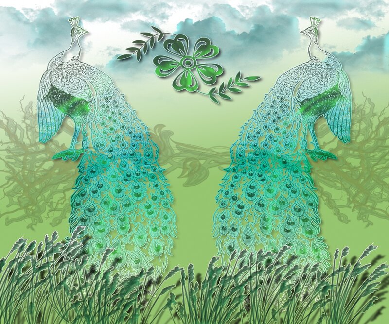 Two Peacocks in Grass