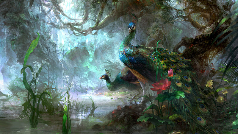 Two Peacocks in Jungle