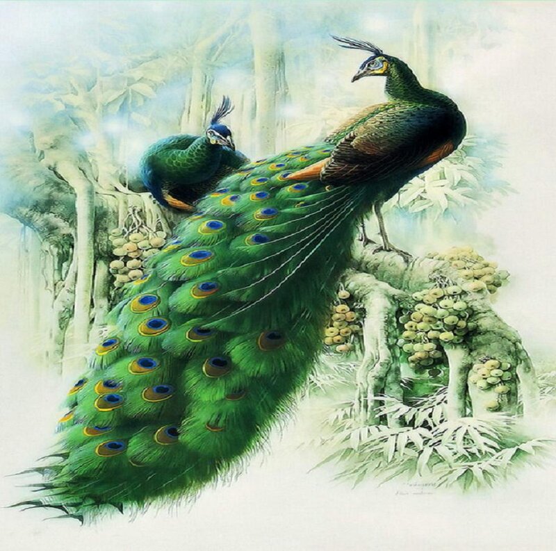 Two Peacocks on a Branch — Green, Serene