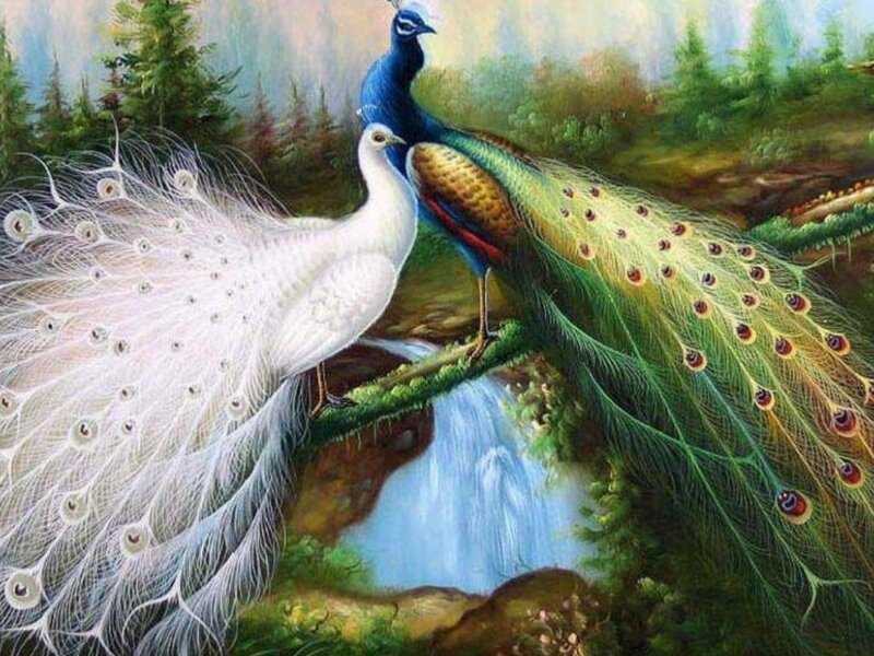 Two Peacocks on Branch — Green, Serene, Painting