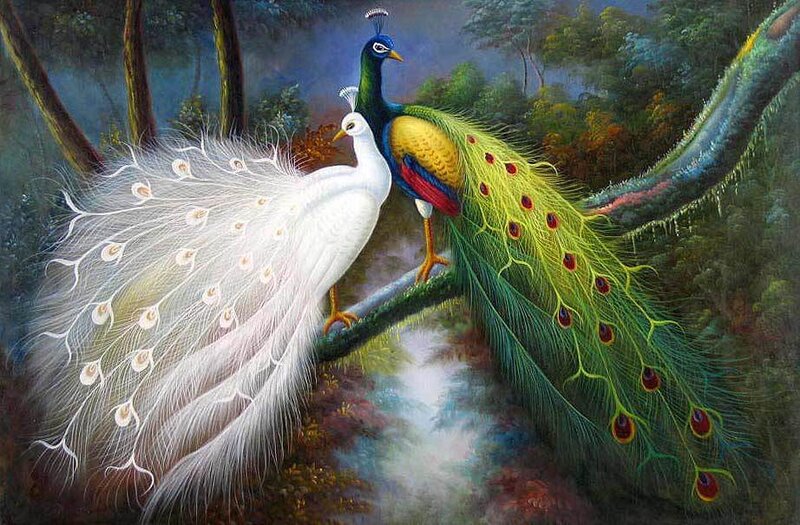Two Peacocks on Branch
