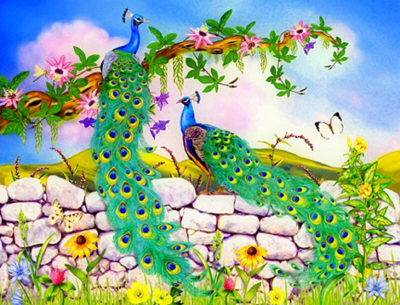 Two Peacocks on Wall