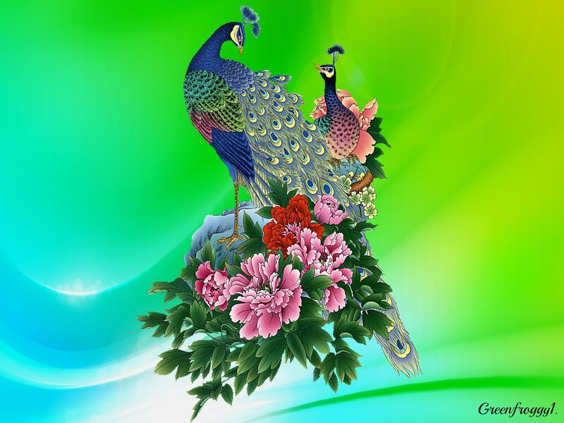 Two Peacocks with Flowers