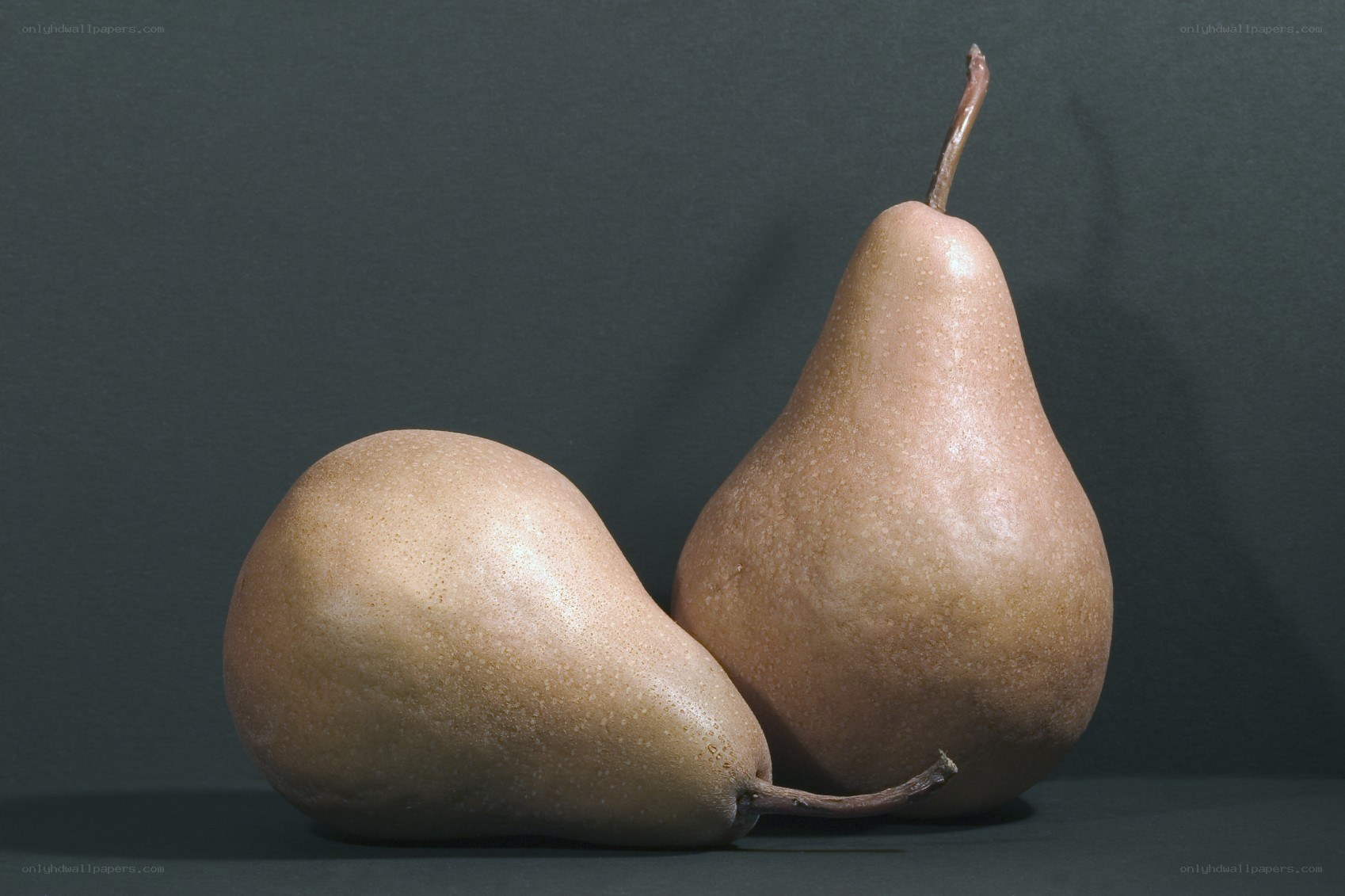 Two pears on a dark surface