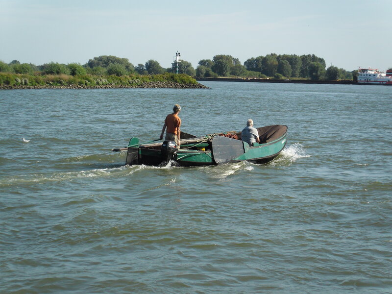 Two People in a Boat — Green, Calm