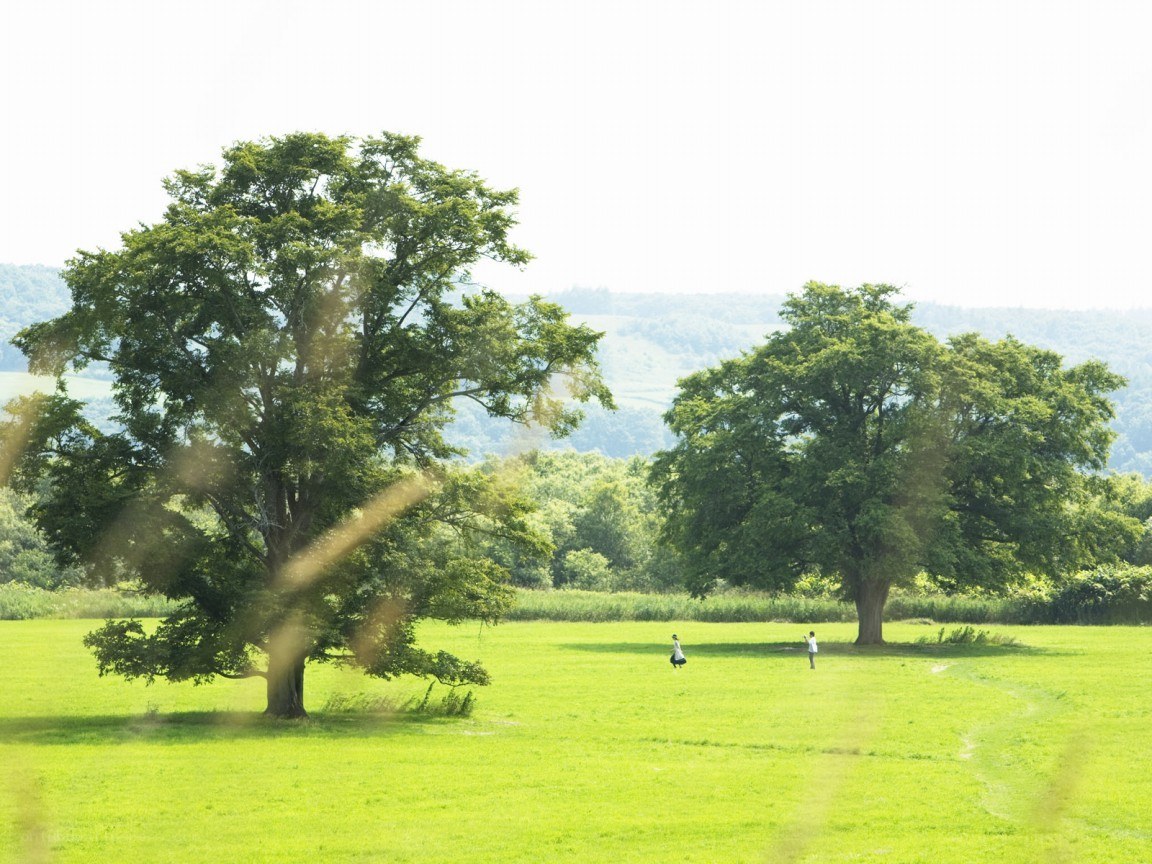Two people in a green field