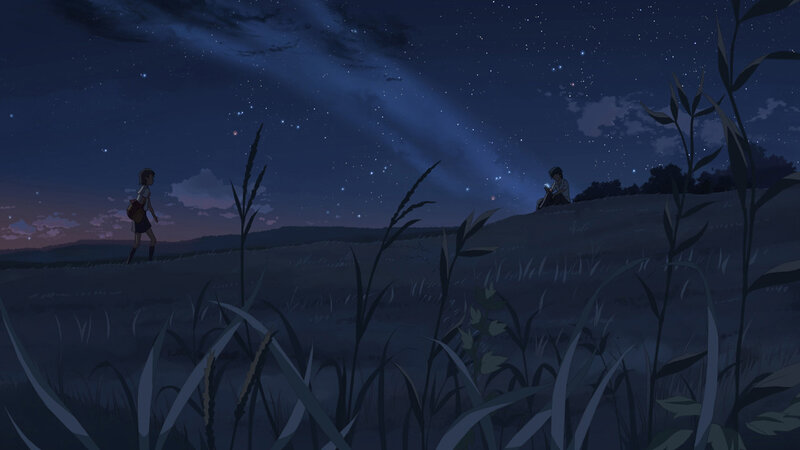 Two people in a starlit field