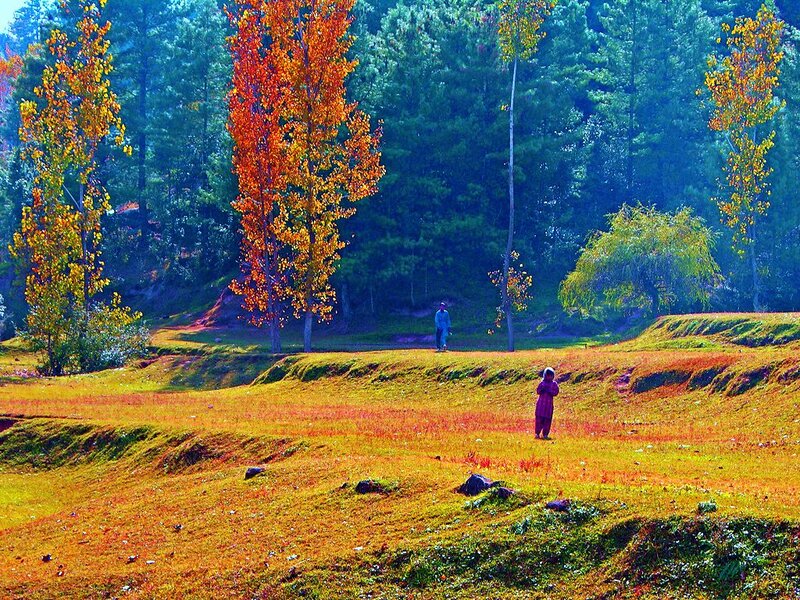 Two People in Autumn Field