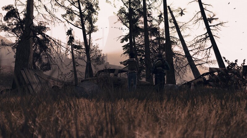 Two People in Forest — Brown, Dramatic, Sunset