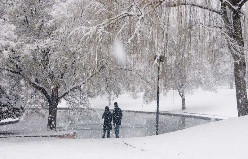 Two People in Snow — White, Cold