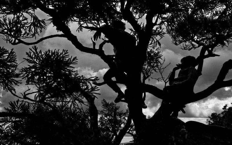 Two People in Tree