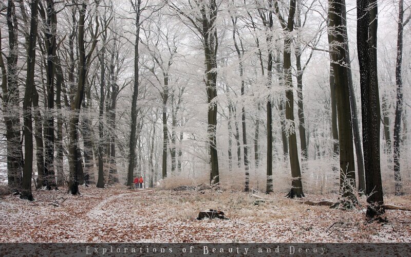 Two People in Winter Forest