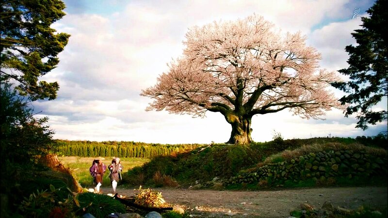 Two People Near Cherry Tree