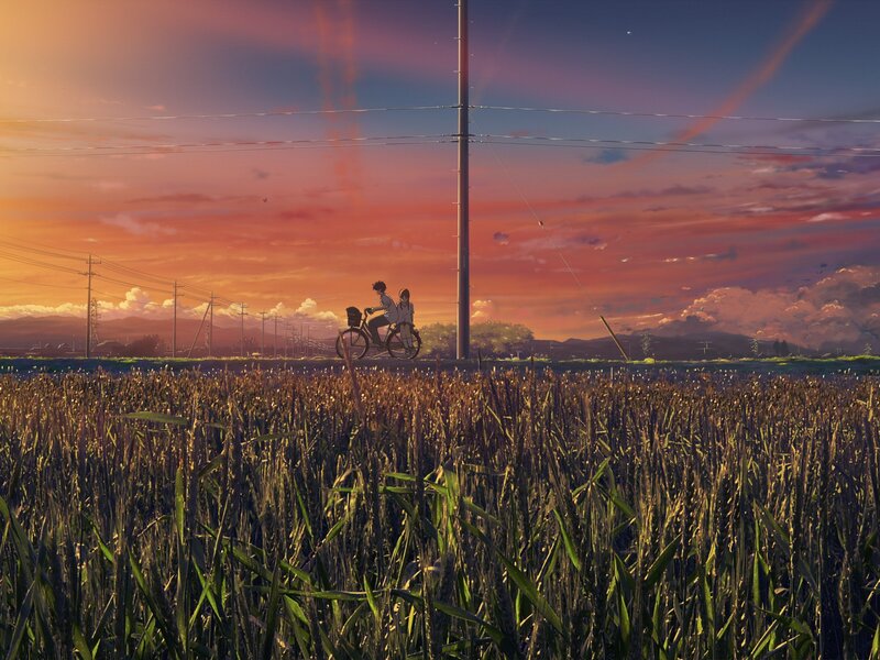 Two People on a Bicycle — Orange, Serene, Sunset, Anime, Field