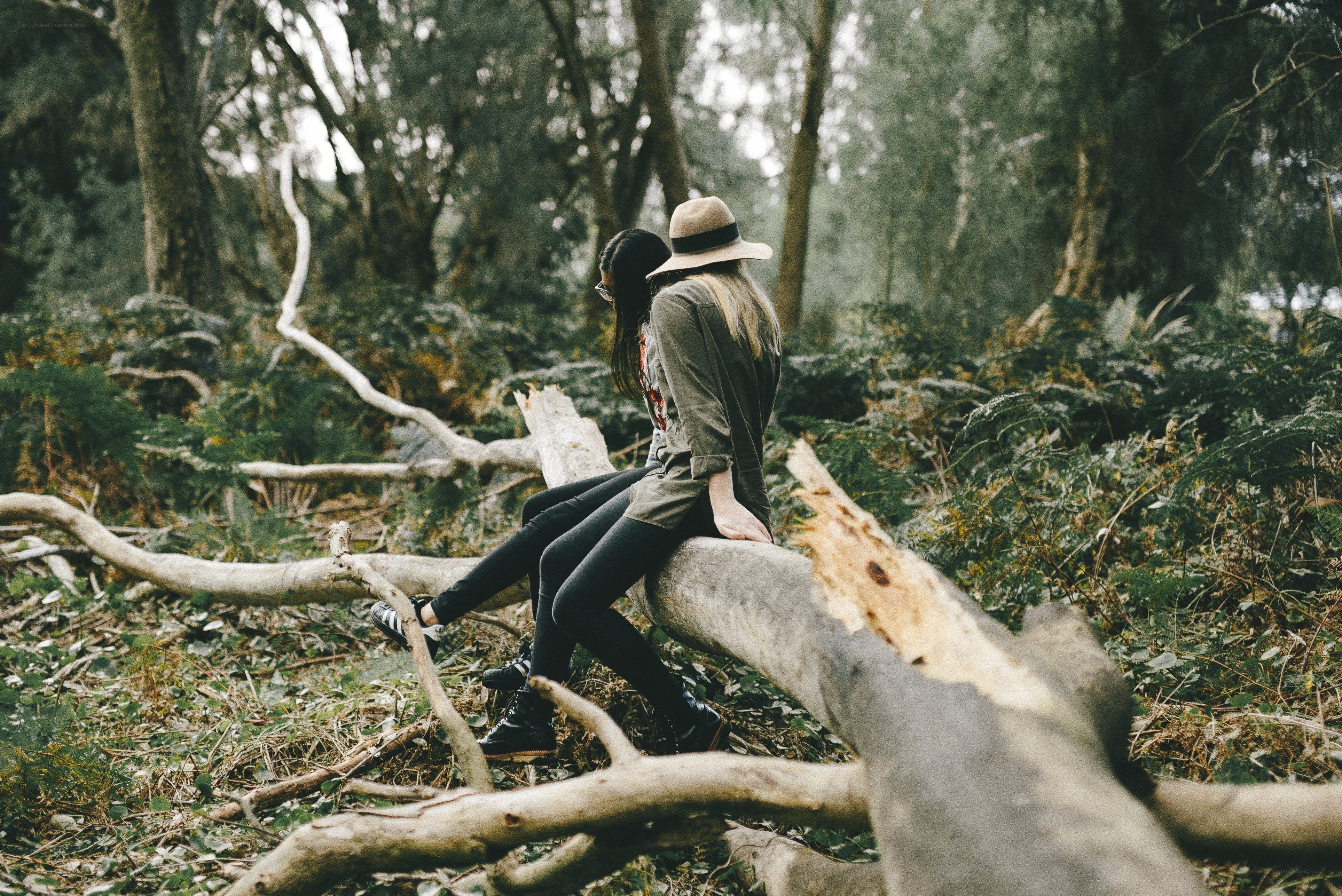Two people on a fallen log