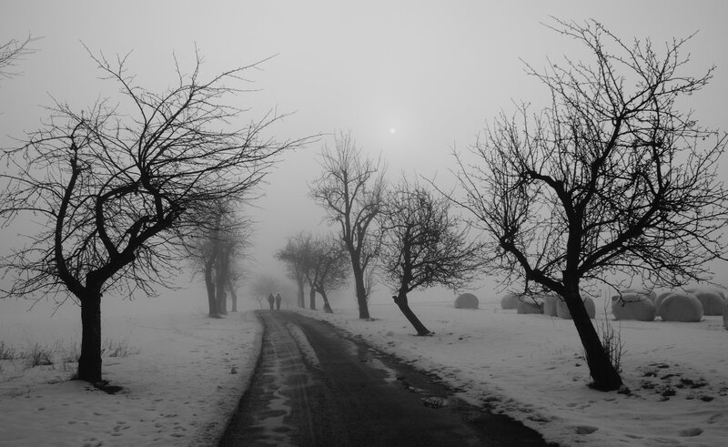 Two People on a Path — Black, Somber