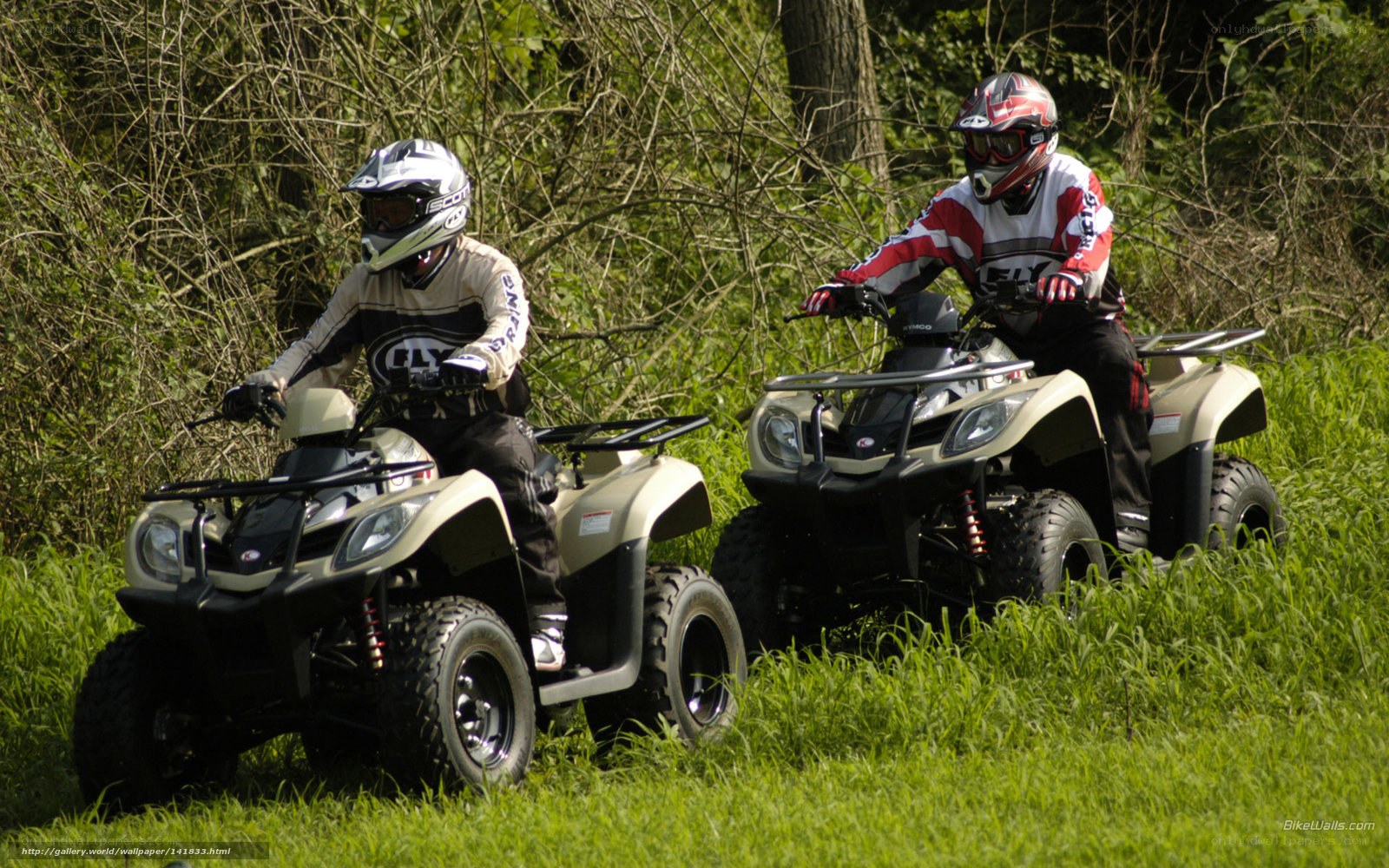 Two people on ATVs in a field