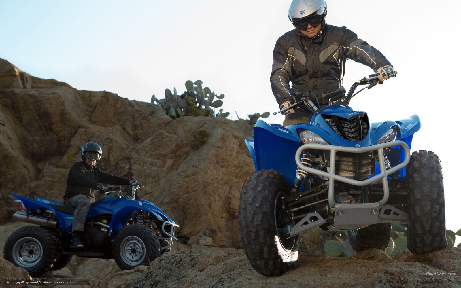 Two people on ATVs in desert