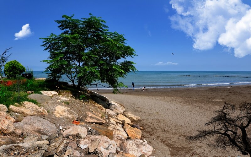 Two People on Beach — Blue, Serene, Afternoon, Photograph, Tree