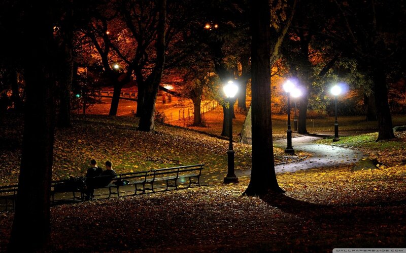 Two People on Bench — Black, Serene, Night, Photograph