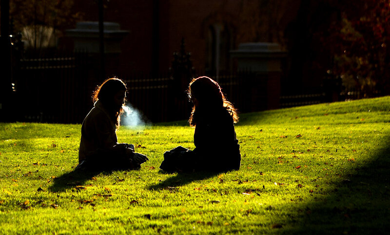 Two People on Grass — Green, Dramatic