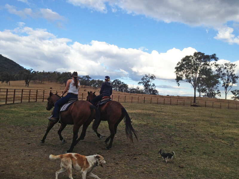 Two People on Horses — Blue, Outdoor