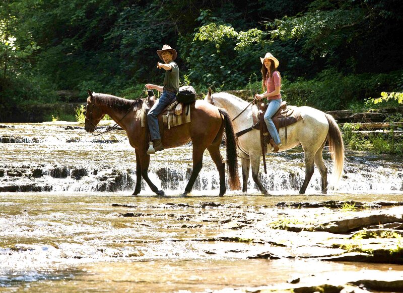 Two People on Horses — Green, Serene, Afternoon, Photograph