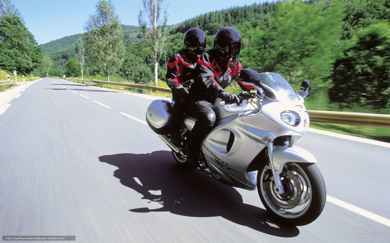 Two People on Motorcycle — Silver, Dynamic