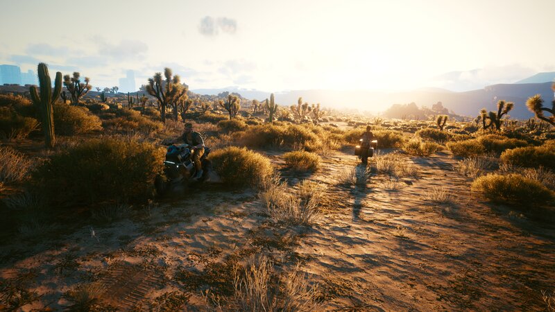 Two People on Motorcycles — Brown