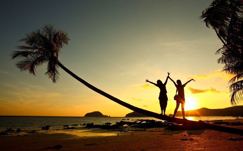 Two People on Palm Tree